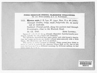 Image Associated With the Occurence